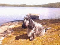 /album/ilpo/whoo13-312-jpg/